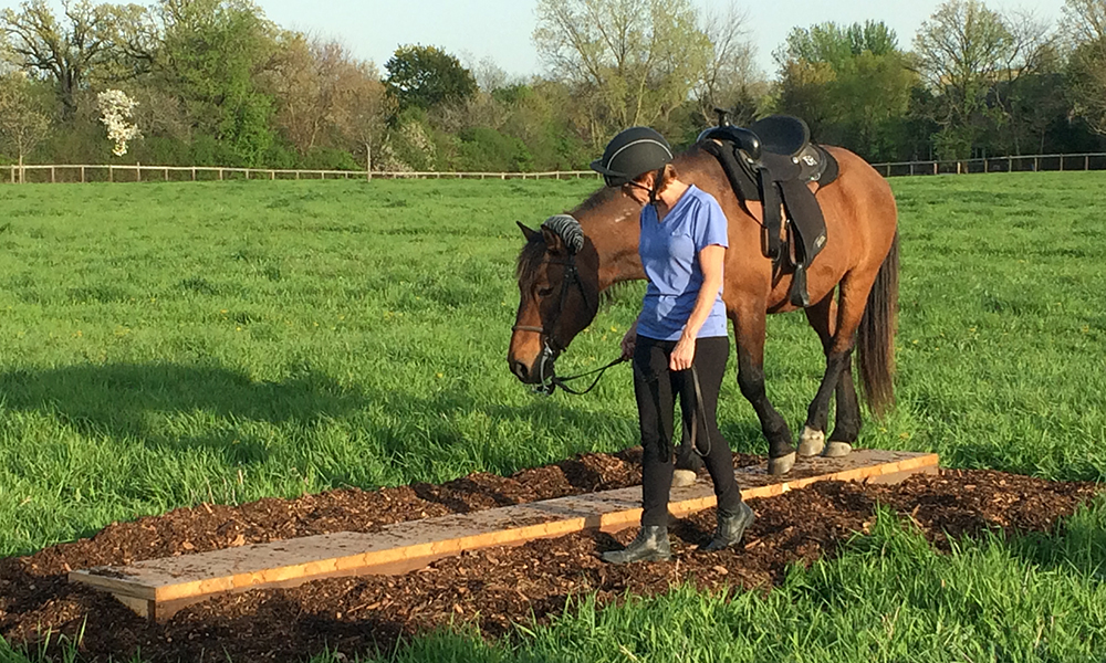 danada-equestrian-center-trail-class-1000-600