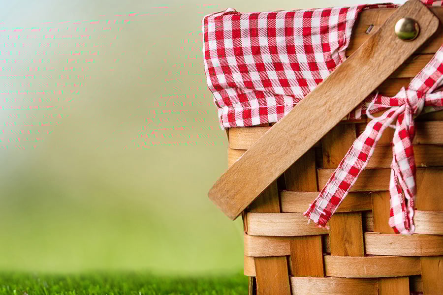 picnicking-header-900x600