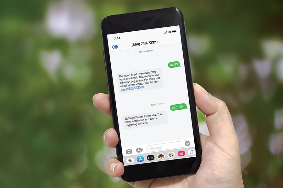 text-alerts-900x600
